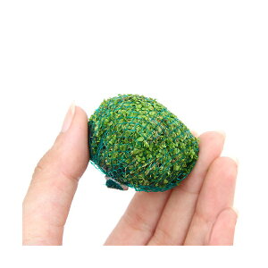 ijā@~bNX{[iwAV[{L[op[jitji1j