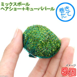 ijā@~bNX{[iwAV[{L[op[jitji5j