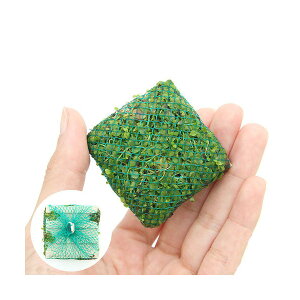 ijā@bNE[t@j[[Wp[OX@^Ci_jitji1j