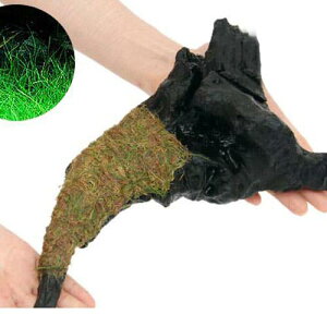 ijā@bNE[t@wA[OXV[g@؁@LTCYi25cmjitji_ji1{j