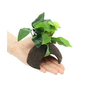 ij~jRRibcVF^[@AkrAXiiS[fitji1j