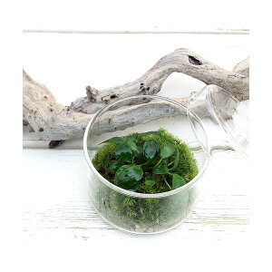 iϗtAjۃeE@AkrAXii@v`@WtJbvL@t@RPeE@ۃe@RPe@ہ@CeA