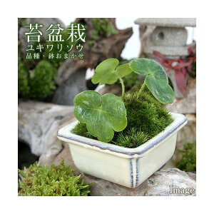 iR쑐jۖ~́@L\E@iE܂Fi1j