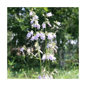 iR쑐jcKljWiޏlQj3i1|bgjixԁj