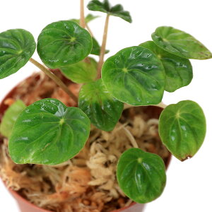 ieEjyy~A@fBA[i@Ecuadori1|bgj@kCEBq֗vۉ