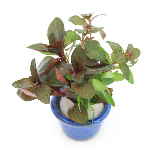 ij@hEBWA~bNXitji_ji1j