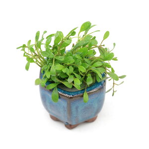 ij@Ob\XeBO}itji_ji1j@kCEBq֗vۉ