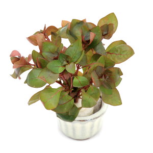 ij@hEBWAspDX[p[bhitji_ji1j