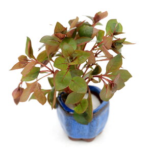 ij@܂Ԍn@1itji_ji1j