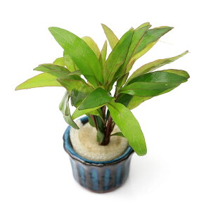 ij@j[[W[tnCOitji_ji1j