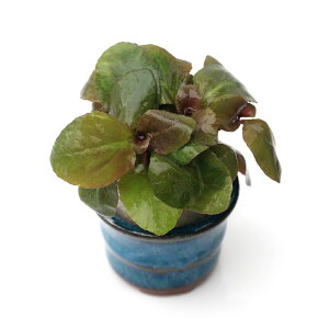 ij@xAJ[fBiXitji_ji1j