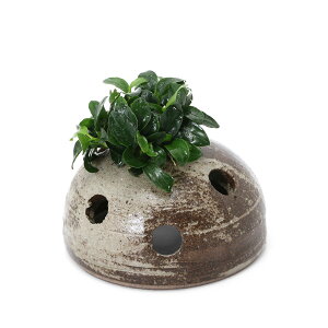 ijAkrAXii@v`@vqăh[itji1j