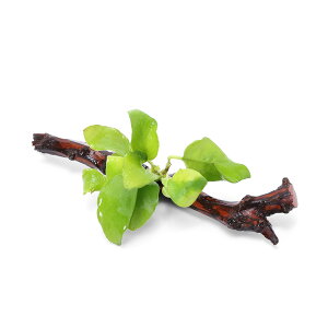 ijAkrAXii@S[f@XeBbN؁@STCYitji1{ji15cmj