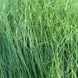 ijā@AOACA@wA[OX@{[itji_ji3j