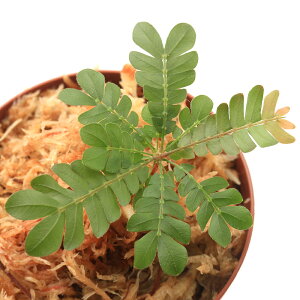 ieEjrItBccfDZVeBui1|bgj@kCEBq֗vۉ