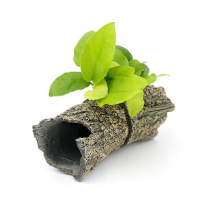 ijAkrAXii@S[f@OVF^[@STCYitji1j