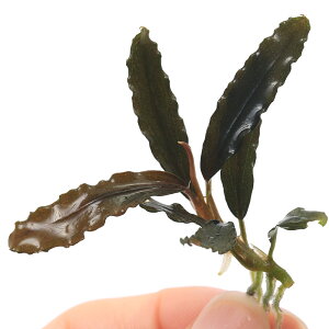 ijuZt@hspDCatherineae@Reditji1j@kCEBq֗vۉ