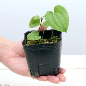 iR쑐j}KVEiRGj@3i1|bgjixԁj