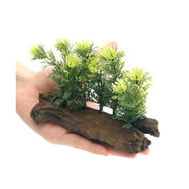アーティフィシャルプランツ（人工水草）流木付　Cypress（1個）【HLS_DU】