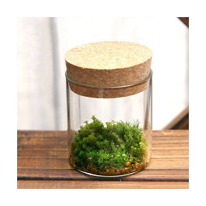 iϗtAjTerrarium@3Zbg@RN{g@~j@t@RPeE@ۃe@RPe@ہ@CeA