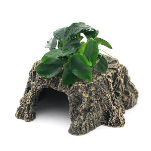 ijAkrAXii@v`@؂芔VF^[@STCYitji1j