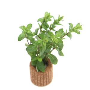 ijCt}`ijXgMlspD@p[vitji_ji1j