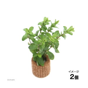 ijCt}`ijXgMlspDp[vitji_ji2j