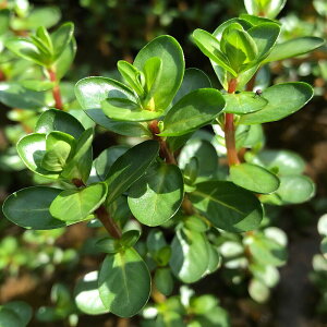 ij^@gfBtHA@XpCL[itji_ji10{j