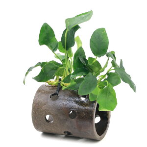 ijAkrAXii@vqČVF^[itji1j