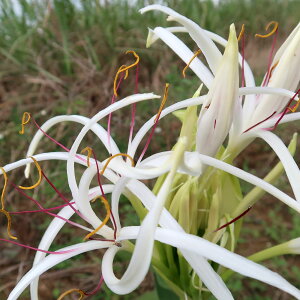 iR쑐jn}Ein}Igjilؖȁj3`3D5i1|bgjixԁj