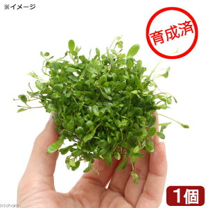 ij琬ρ@~bNX{[iOb\{I[XgAm`hjitji1j