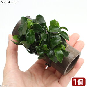 ijvqā@vR̉BƁ@@AkrAXii@v`titji1j