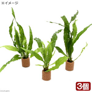 ijCt}`ij~N\EspD@\tg[tiC{CXji3j