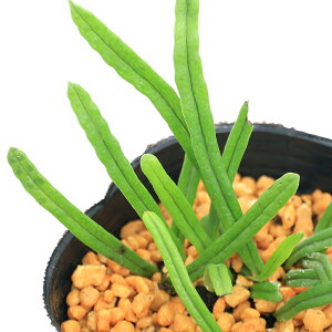 iR쑐jV_irjqmLVmuiPEj3i1|bgjΐN