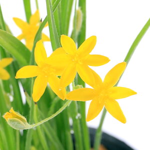 iR쑐jAbcUNi[hq|LVXj@Fn@3i1|bgjixԁj