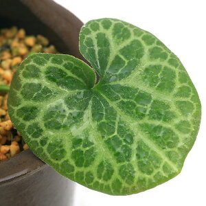 iR쑐jJAICijEAICitj3i1|bgj