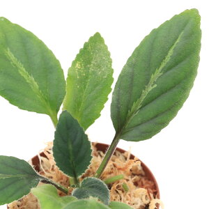 ieEjvi@hAX@Guangxii1|bgj@kCEBq֗vۉ