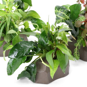 ij[ICgiO[j@U@{TC@VerDAkrAXiiitji1j