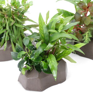 ij[ICgiO[j@U@{TC@VerDAkrAX@iiv`itji1j