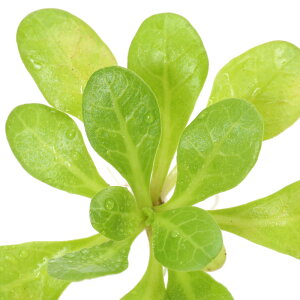 ijEH[^[[Yitji_ji1j[bg^@i@|Cg@Y