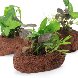 ieEjnΔ@eEA3񂹐Ai1j@kCEBq֗vۉ