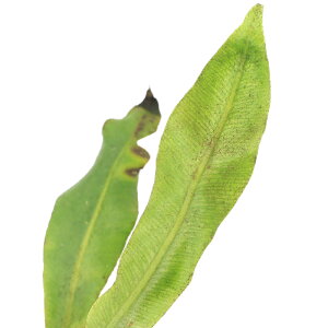 ieEjGtHObT@A|_i1|bgj@kCEBq֗vۉ