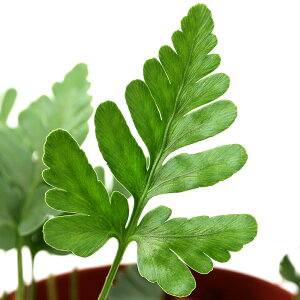 ieEjt}^spDKanchanaburi@Thailandi1|bgj@kCEBq֗vۉ