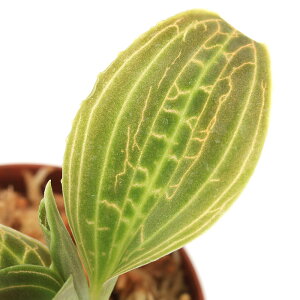 ieEj}RfX@TfA[i@XgW[i1|bgj@kCEBq֗vۉ