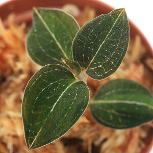 ieEjAlNgLXspDbhxC@EBU[h@Iu@IYi1|bgj@kCEBq֗vۉ