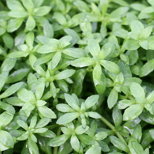 ijxgiS}mnOTitji_ji30{j