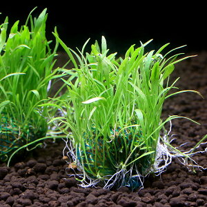 ij琬ρ@RuOX@{[itji_ji3j