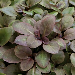 ijxA@J[fBiX@h[titji3{j@kCEBq֗vۉ