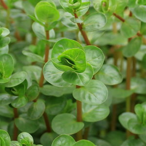 ij^@gfBtHA@AbTitji_ji10{j@kCEBq֗vۉ