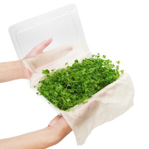 ij吷聚I[XgAm`hitji_ji1pbNj@kCEBq֗vۉ